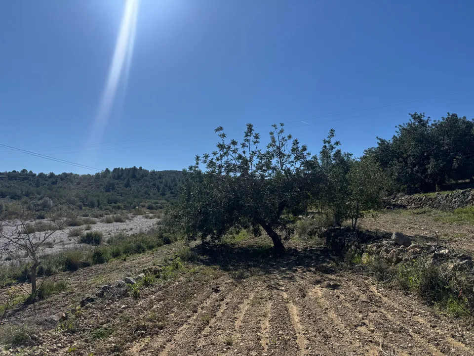 Terreno en Cervera Del Maestre, Castellon - foto 5